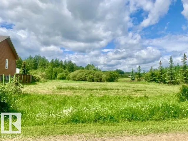 433 SWEDBERG ST, Rural Wetaskiwin County, Alberta T0C2V0