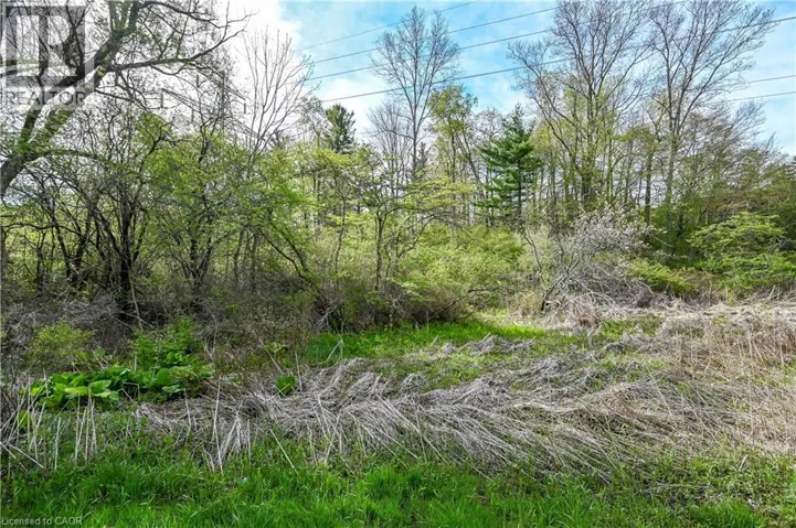 0 MINERAL SPRINGS Road, Ancaster, Ontario L9H5E3