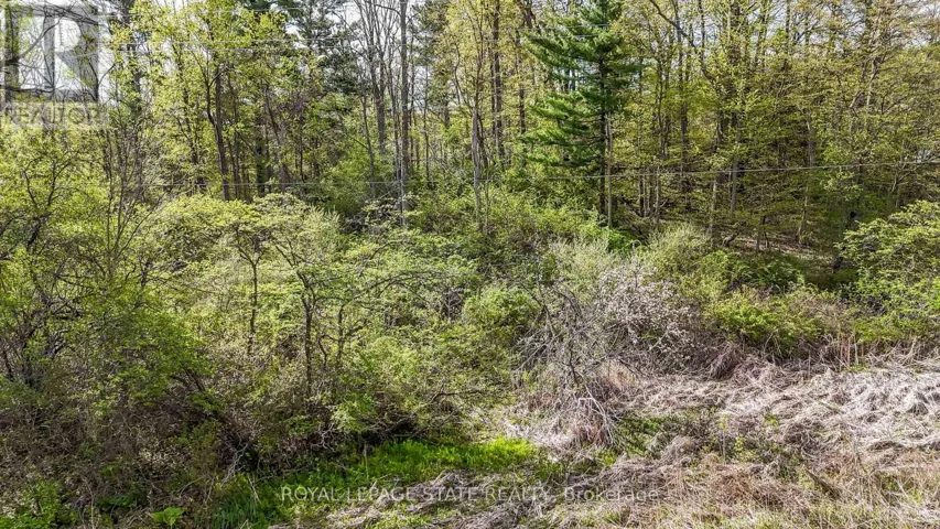 0 MINERAL SPRINGS ROAD, Hamilton, Ontario L9G4X1