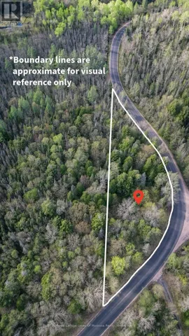 Fully Treed Building Lot
