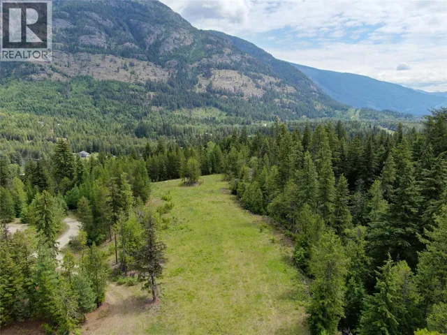 3809 PASSMORE UPPER Road, Passmore, British Columbia V1L2J0