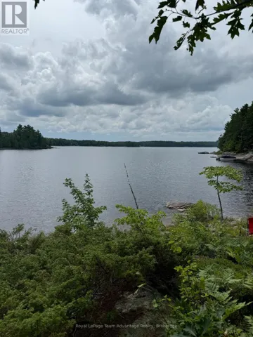 780
