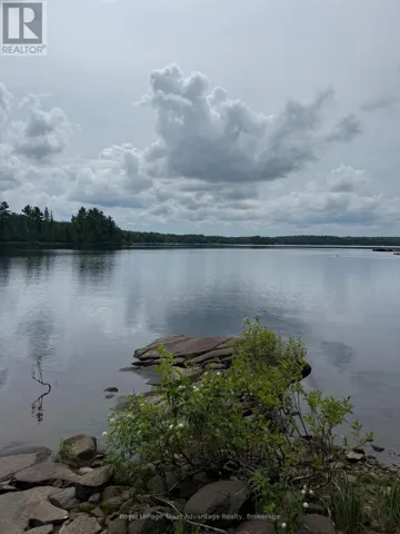 780