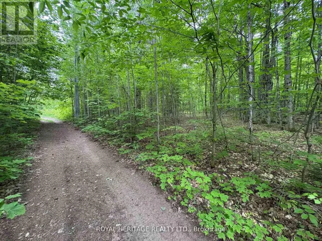1043 LAWRENCE PIT ROAD, Muskoka Lakes (Watt), Ontario P0B1M0