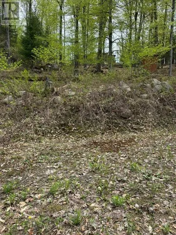 TBD BUSHWOLF LAKE ROAD, Dysart et al (Guilford), Ontario K0M1S0