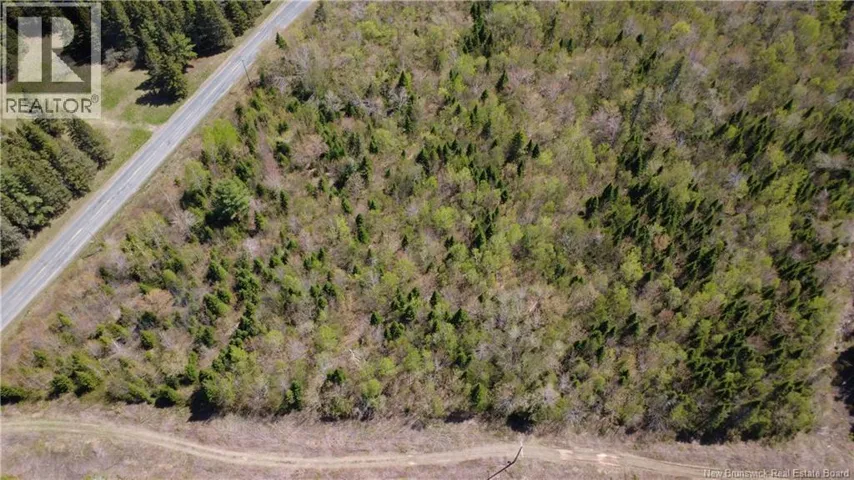 5, 036 mc Chemin St-Raymond, Sainte-Rose, New Brunswick E1X1G5