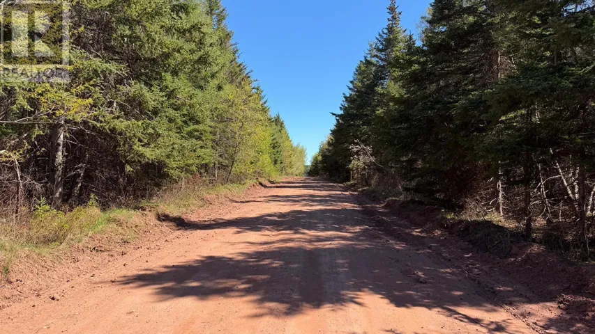 Lot Dune Road, St. Felix, Prince Edward Island C0B2B0