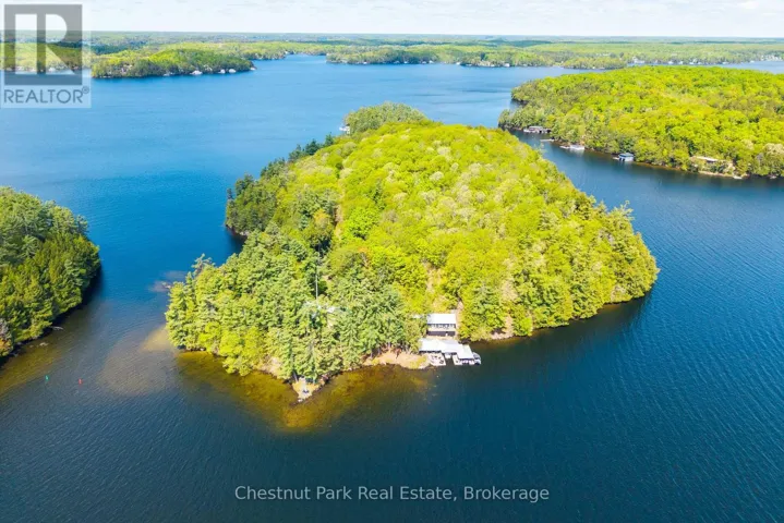 5 IS BEACON ISLAND, Muskoka Lakes (Medora), Ontario P0B1J0