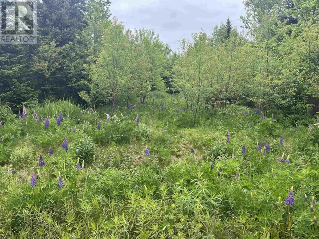0 Driftwood Lane, Stanley Bridge, Prince Edward Island C0A1N0
