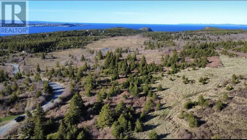21 Squantum Drive, Cupids, Newfoundland & Labrador A0A2B0
