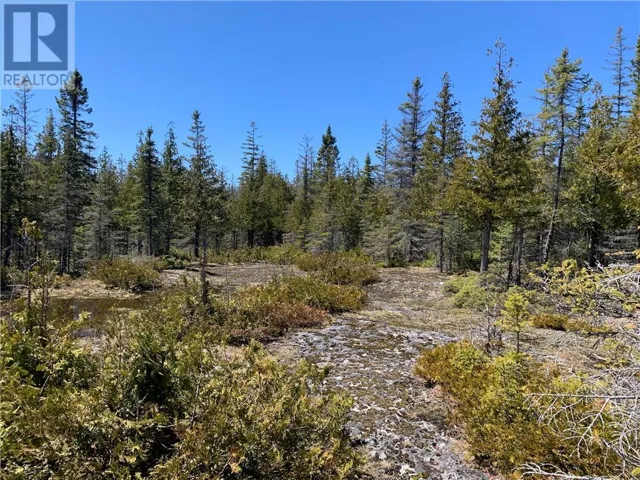 PT LT 14 CON 12, Tehkummah, Ontario P0P2C0