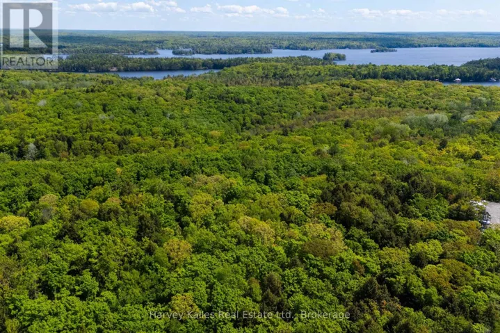 13.28 Ac vacant lot with 1,133ft. of road frontage