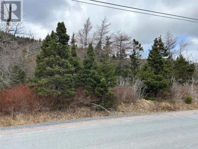 Lot #1 Main Road, North River, Newfoundland & Labrador A0A3C0