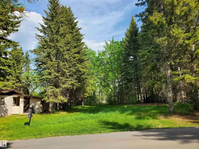 516 5 Norris Beach Pigeon Lake ST, Rural Wetaskiwin County, Alberta T0C2V0