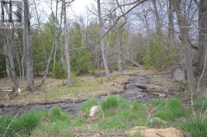 00 FLAT ROAD, Greater Madawaska, Ontario K0J1N0