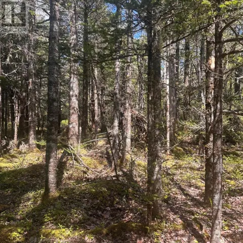 Lot 16 Somerset Drive, East Sable River, Nova Scotia B0T1V0