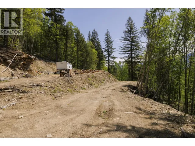 3260 MOUNTAIN VIEW ROAD, McBride, British Columbia V0J2E0