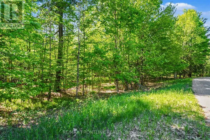 0 HEALEY DRIVE, Drummond/North Elmsley, Ontario K7H0H1