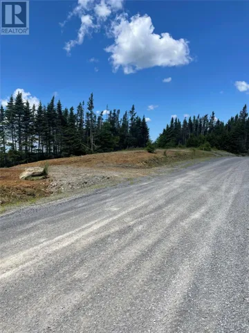 154 Prison Camp Road, Salmonier, Newfoundland & Labrador A0A0A0