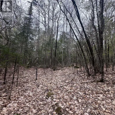 Lot 10 Moose Pit Road, Westfield, Nova Scotia B0T1B0