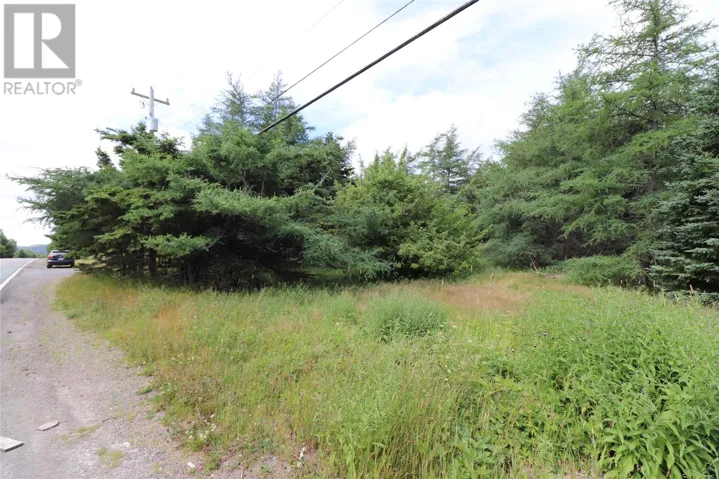 194 Conception Bay Highway, Holyrood, Newfoundland & Labrador A0A2R0