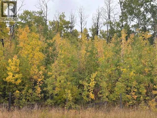 12 Foot Davis Road, Rural Northern Sunrise County, Alberta T0H2E0