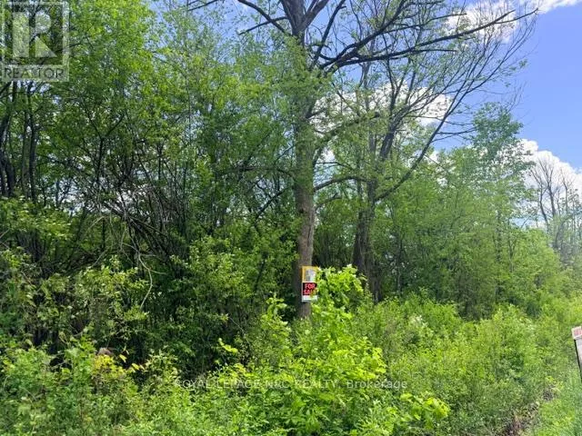 V/L CENTRALIA AVENUE N, Fort Erie (Ridgeway), Ontario L0S1N0