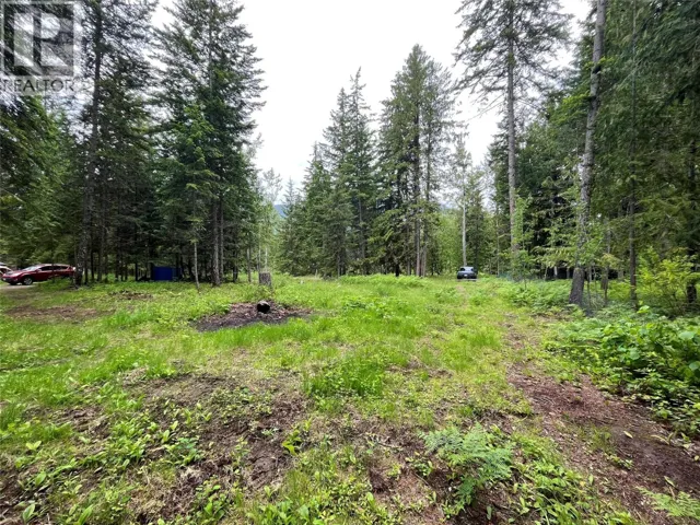 5619 6 Highway, Burton, British Columbia V0G1R0
