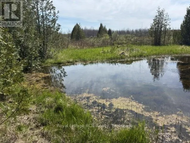 621 WEST ROAD W, Northern Bruce Peninsula, Ontario N0H1W0