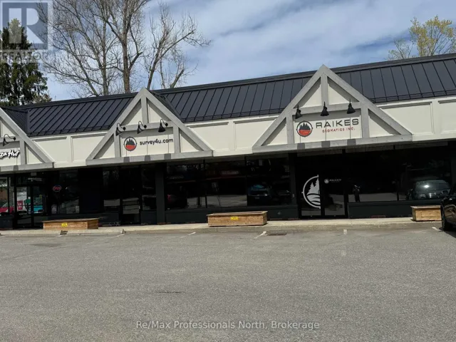 2 & 3 - 205 MANITOBA STREET, Bracebridge (Macaulay), Ontario P1L1S3