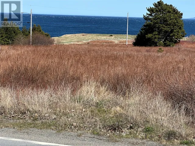389 Conception Bay Highway, Blackhead, Newfoundland & Labrador A0A1L0