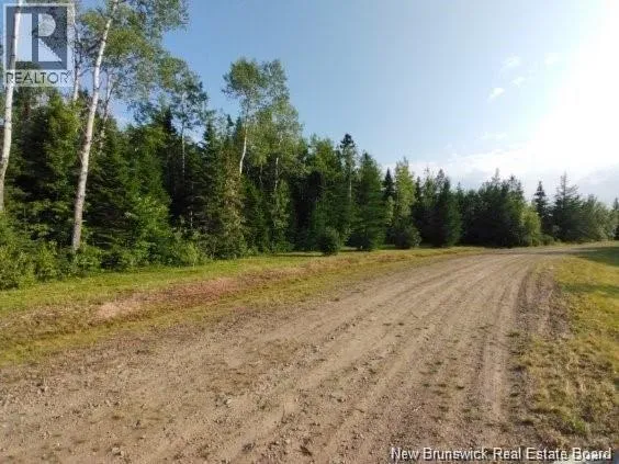 Lot-15-3 Route 134, Sainte-Anne-De-Kent, New Brunswick E4S1E7