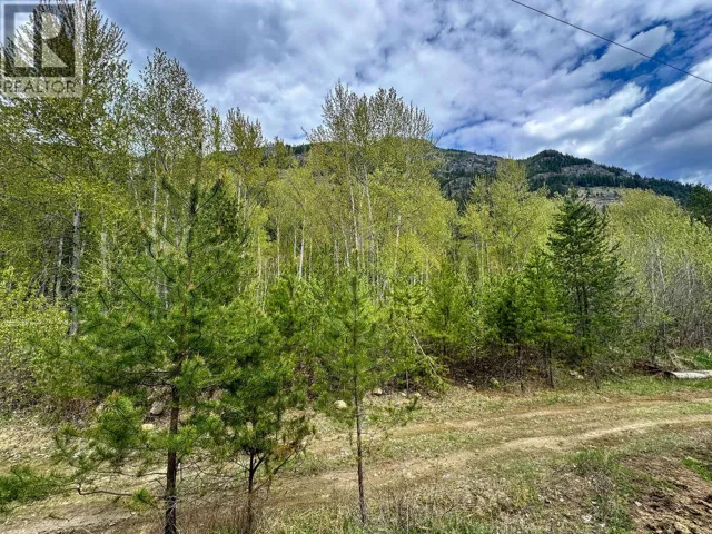 Highway 6 Lot# 4, Passmore, British Columbia V0G2E0
