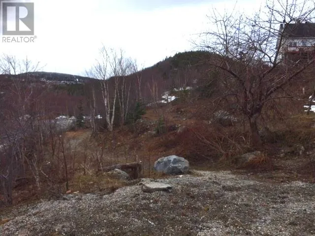0 Gale Street, Corner Brook, Newfoundland & Labrador A2H5R5