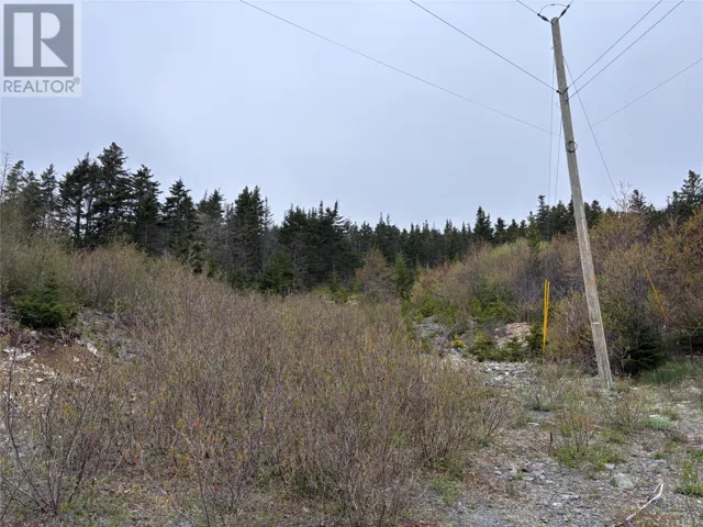 0 Whalefinn Drive, Spaniards Bay, Newfoundland & Labrador A0A3X0