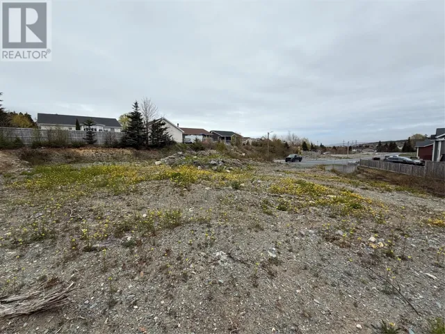 13 Shea Place, Bay Roberts, Newfoundland & Labrador A0A1G0