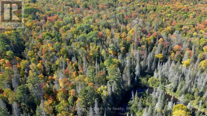 0 SOUTH HORN LAKE ROAD, Armour, Ontario P0A1C0