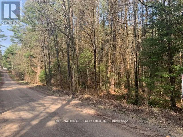 0 THE AVE ROAD N, Kawartha Lakes (Kinmount), Ontario K0M2A0
