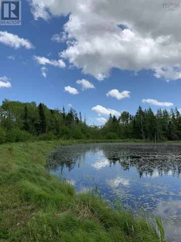 Lot CL1 Palmer Road, West Wentworth, Nova Scotia B0M1Z0