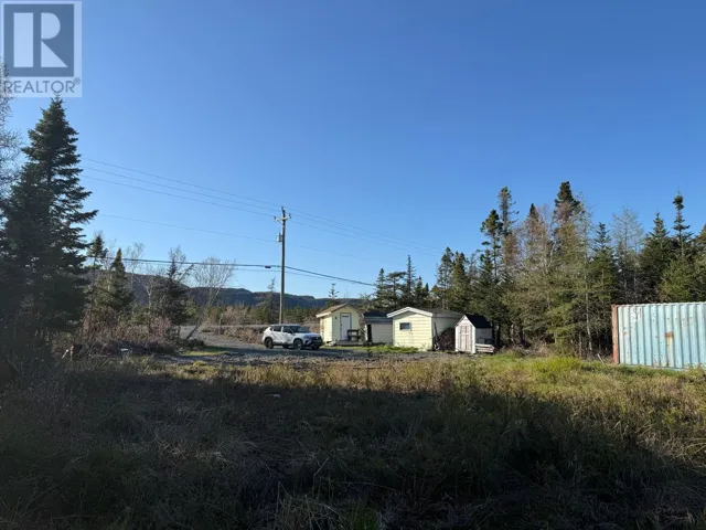 23 Hodgewater Line, South River, Newfoundland & Labrador A0A3W0