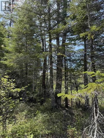 Lot CL4 Palmer Road, West Wentworth, Nova Scotia B0M1Z0