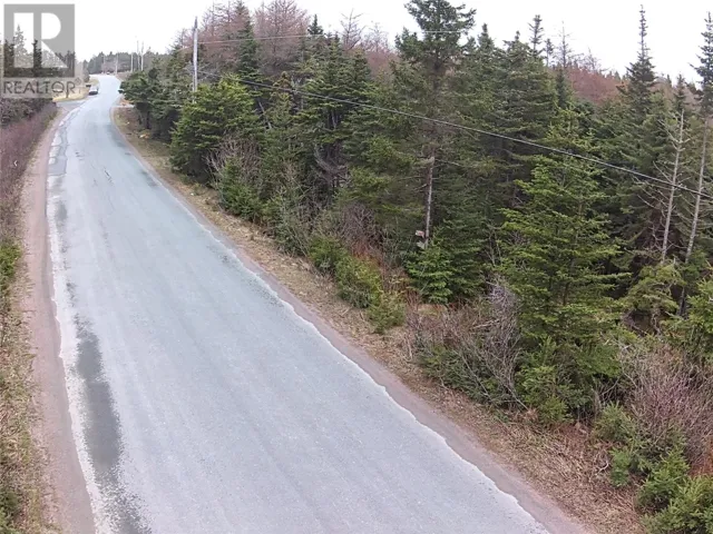 54 Ridge Road, Holyrood, Newfoundland & Labrador A0A2R0