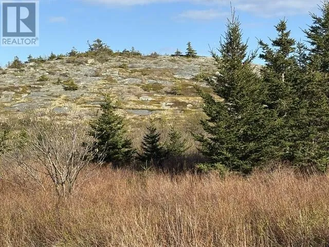 2A Menchions' Lane, Bay Roberts, Newfoundland & Labrador A0A1G0