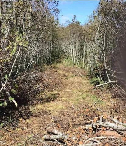 Lot 1 Lake Doucette Road, Lake Doucette, Nova Scotia B0W2Y0
