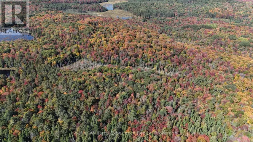 PL20 LANGFORD ROAD, Lake of Bays (Mclean), Ontario P0B1A0