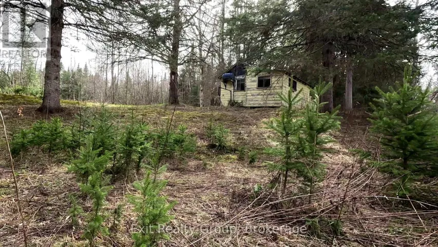 3606 COUNTY ROAD 620, North Kawartha, Ontario K0L1A0