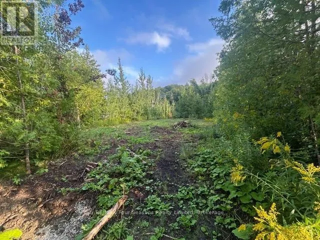122 JAMES STREET, Blue Mountains, Ontario L9Y0T6