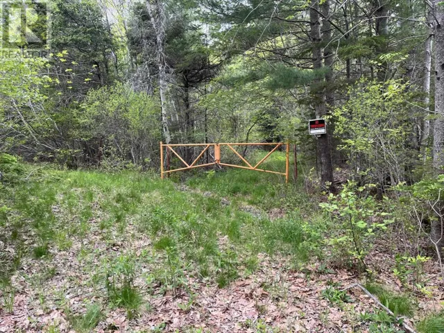 Land Locust Street, Brooklyn, Nova Scotia B0J1H0