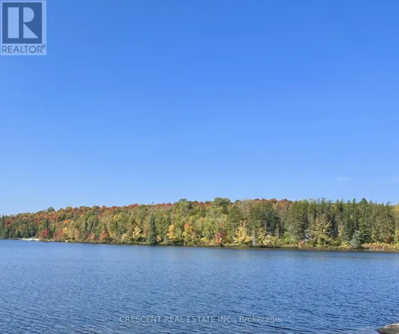 3B JACK'S LAKE ROAD, Parry Sound Remote Area (Golden Valley), Ontario P0H1N0