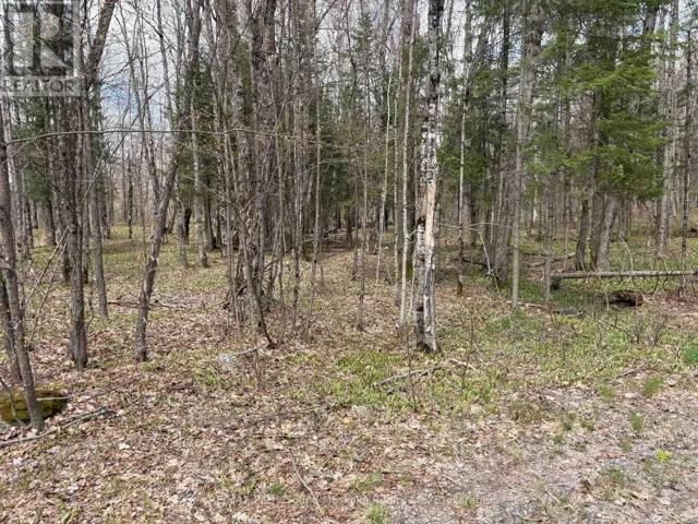 0 DAUNCEY ROAD, Magnetawan (Spence), Ontario P0A1P0